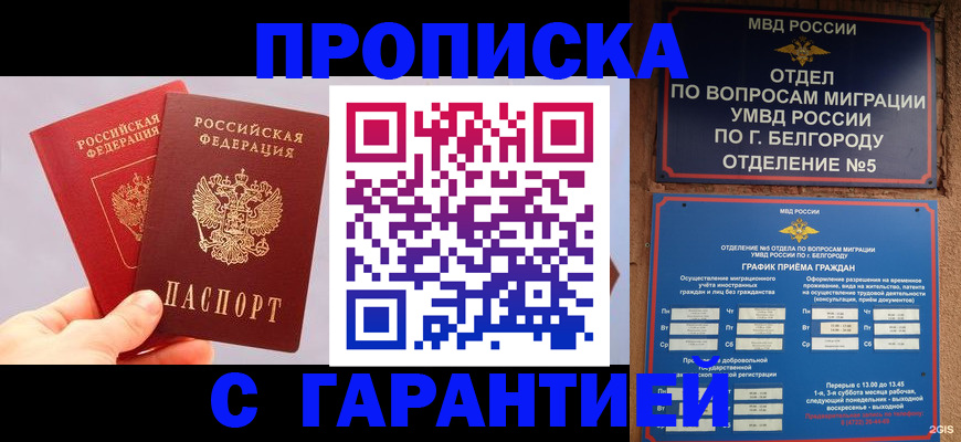 прописка 2025 в Сальске